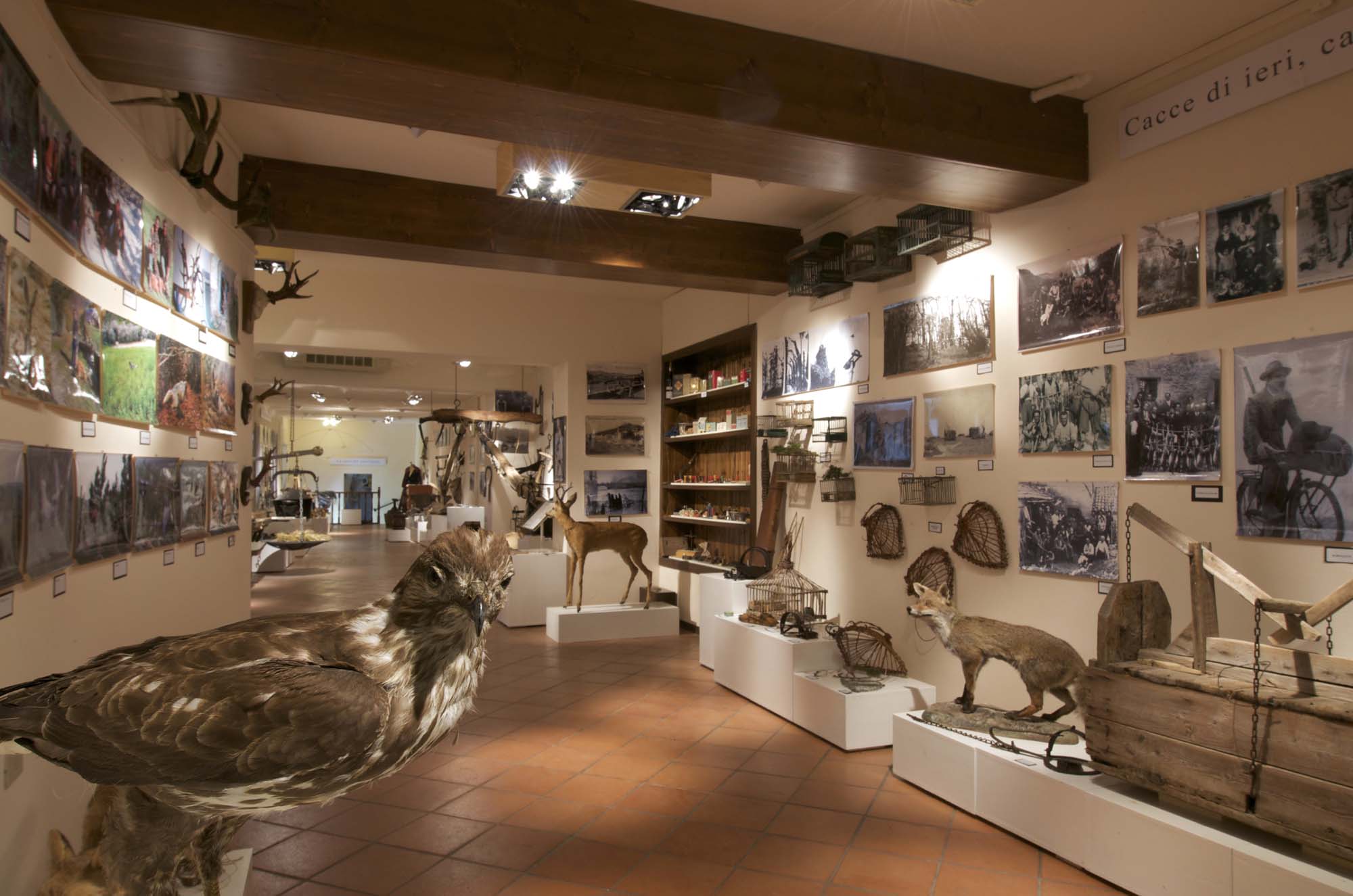 storie-di-caccia: Museo delle tradizioni venatorie