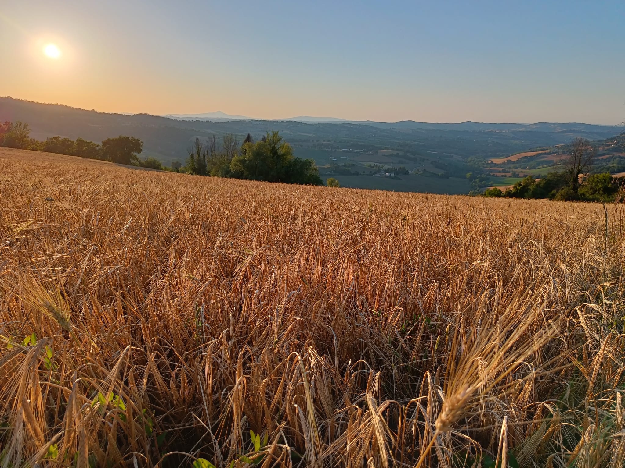 associazioni-venatorie: Nasce AB la nuova associazione - Agrivenatoria Biodiversitalia da CNCN e Coldiretti fra pareri favorevoli e contrari associazioni-venatorie: Nasce AB la nuova associazione - Agrivenatoria Biodiversitalia da CNCN e Coldiretti fra pareri favorevoli e contrari