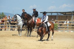 Nuovo successo per il Game Fair 2016 Sfilate a cavallo dei butteri maremmani sono immancabili al Game Fair