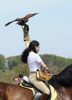 Nuovo successo per il Game Fair 2016 La caccia con i falchi al Game Fair 2016