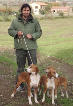 Panorama cinghiale Panorama cinghiale