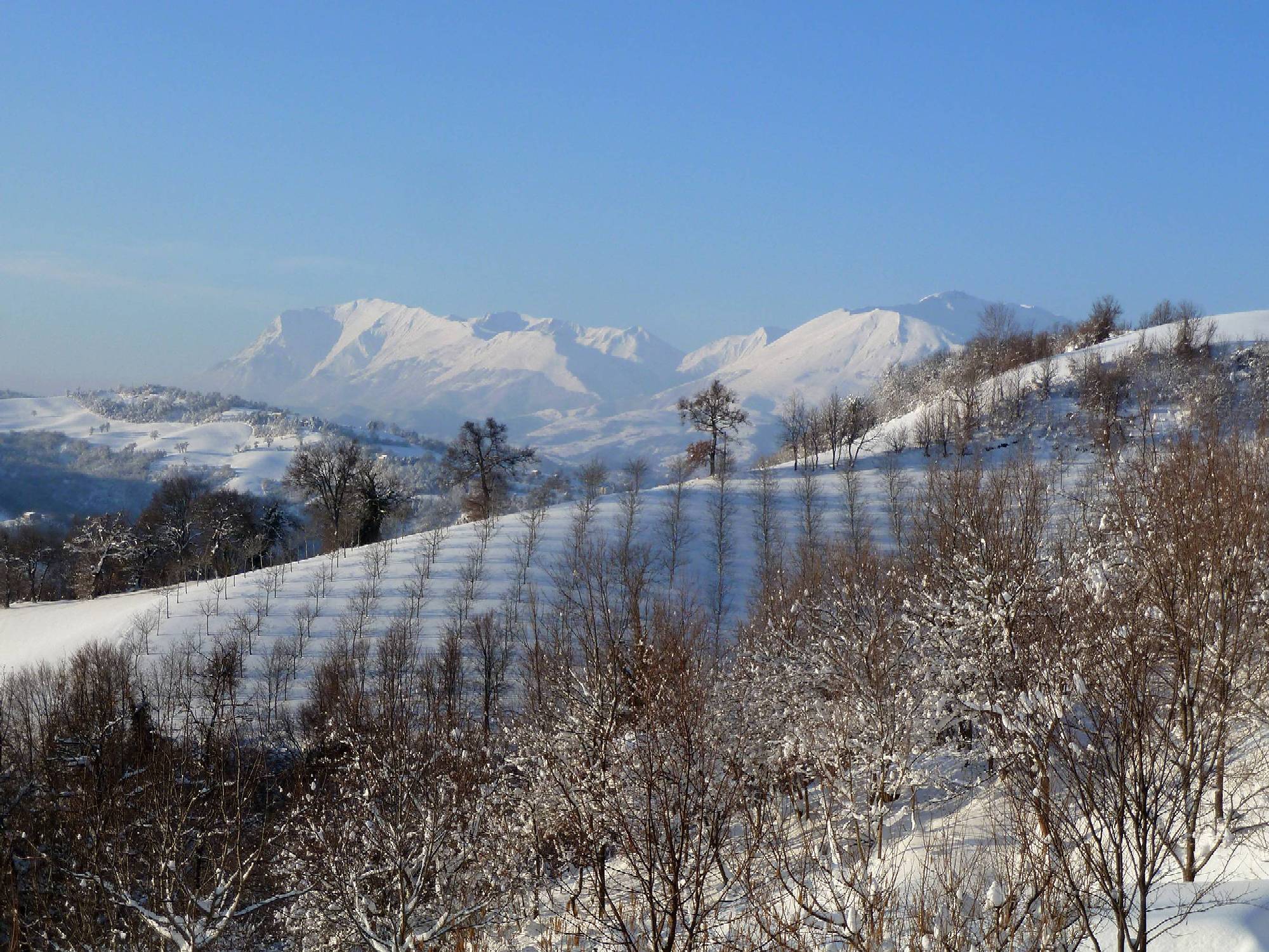 ambiente: Parco Nazionale dei Monti Sibillini: emergenza neve per gli animali