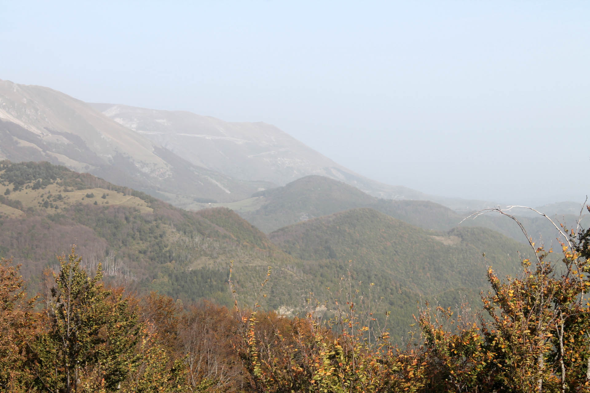 selvaggina-migratoria: Caccia al passo: colombacci e tordi d'ottobre selvaggina-migratoria: Caccia al passo: colombacci e tordi d'ottobre