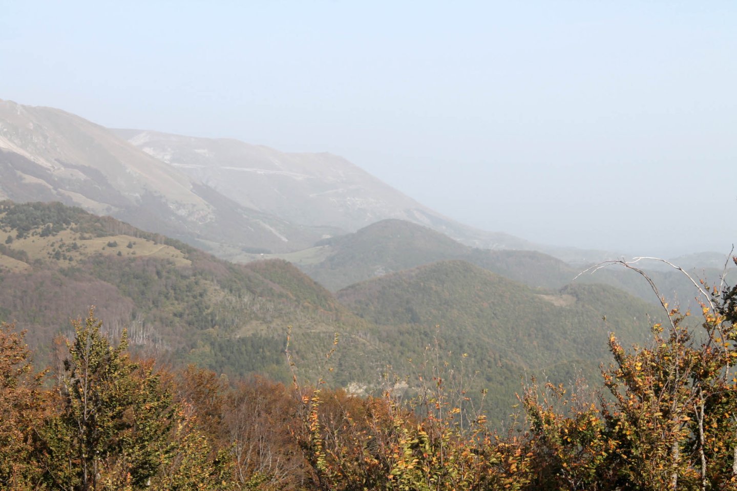 Caccia al passo: colombacci e tordi d'ottobre Caccia al passo: colombacci e tordi d'ottobre