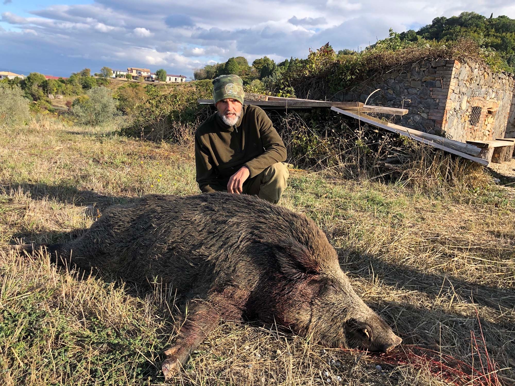 cinghiale: Peste suina africana: via libera alla caccia ai cinghiali in zona rossa in Liguria cinghiale: Peste suina africana: via libera alla caccia ai cinghiali in zona rossa in Liguria