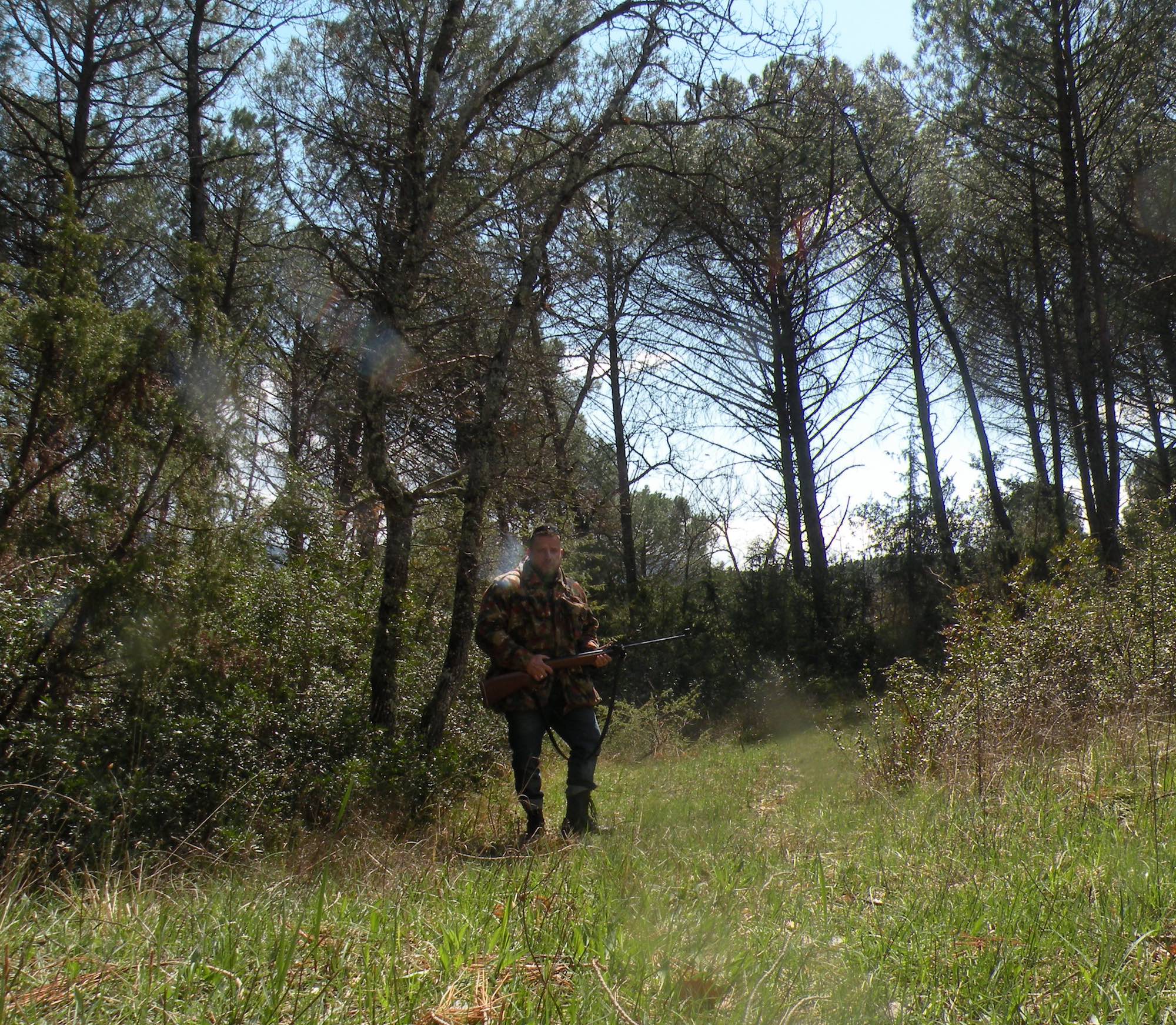 caccia: Benevento. Provincia e Atc trovano accordo su gestione faunistico-venatoria nel Sannio