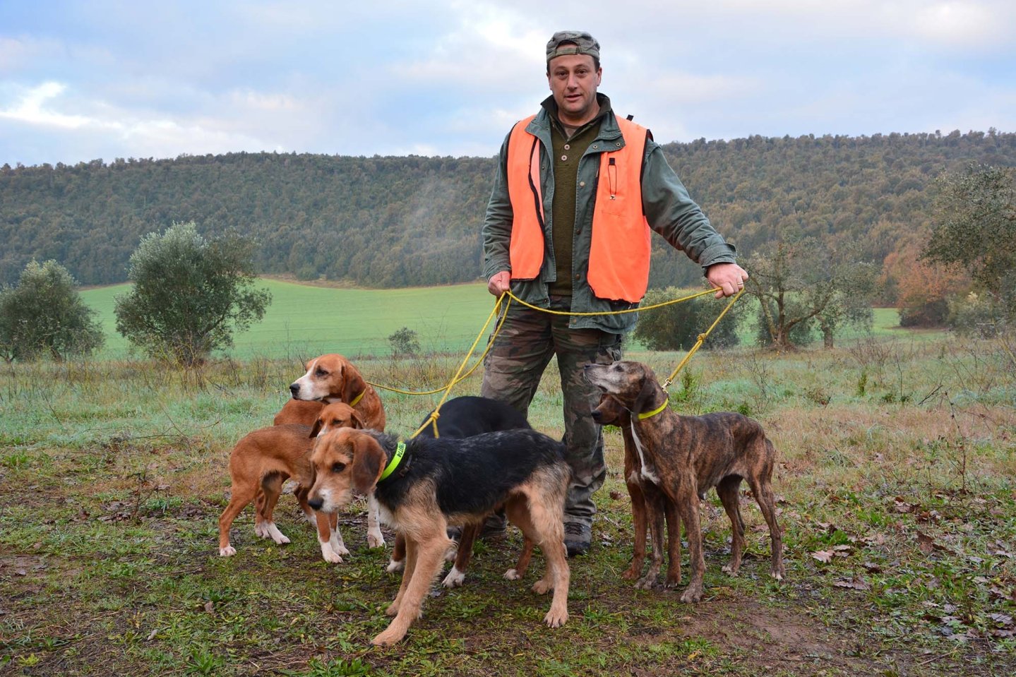 A caccia di cinghiali. Quanti cani servono per cacciare il cinghiale? A caccia di cinghiali. Quanti cani servono per cacciare il cinghiale?