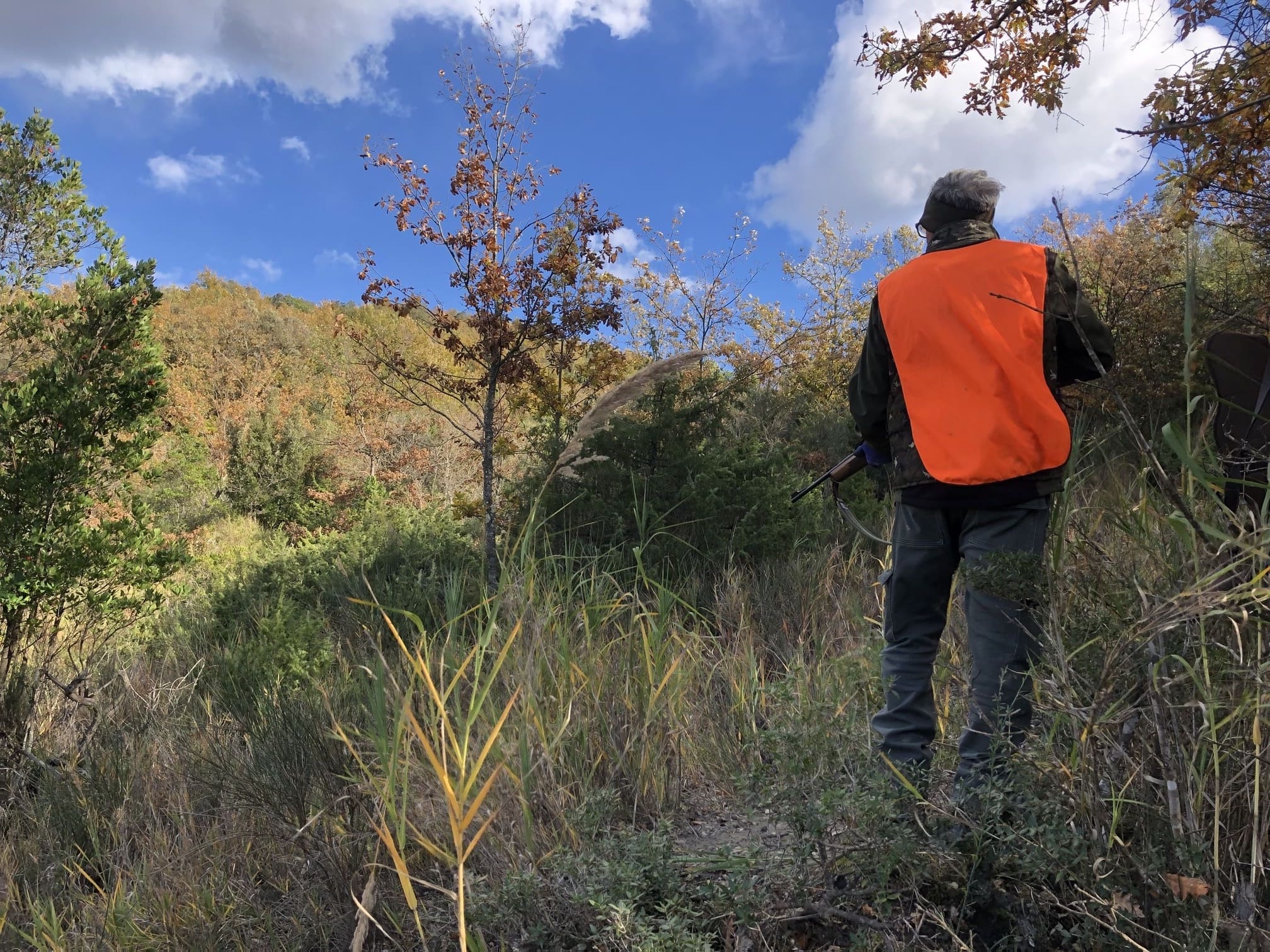 cultura-venatoria: Sicurezza a caccia, un obiettivo o un’utopia?