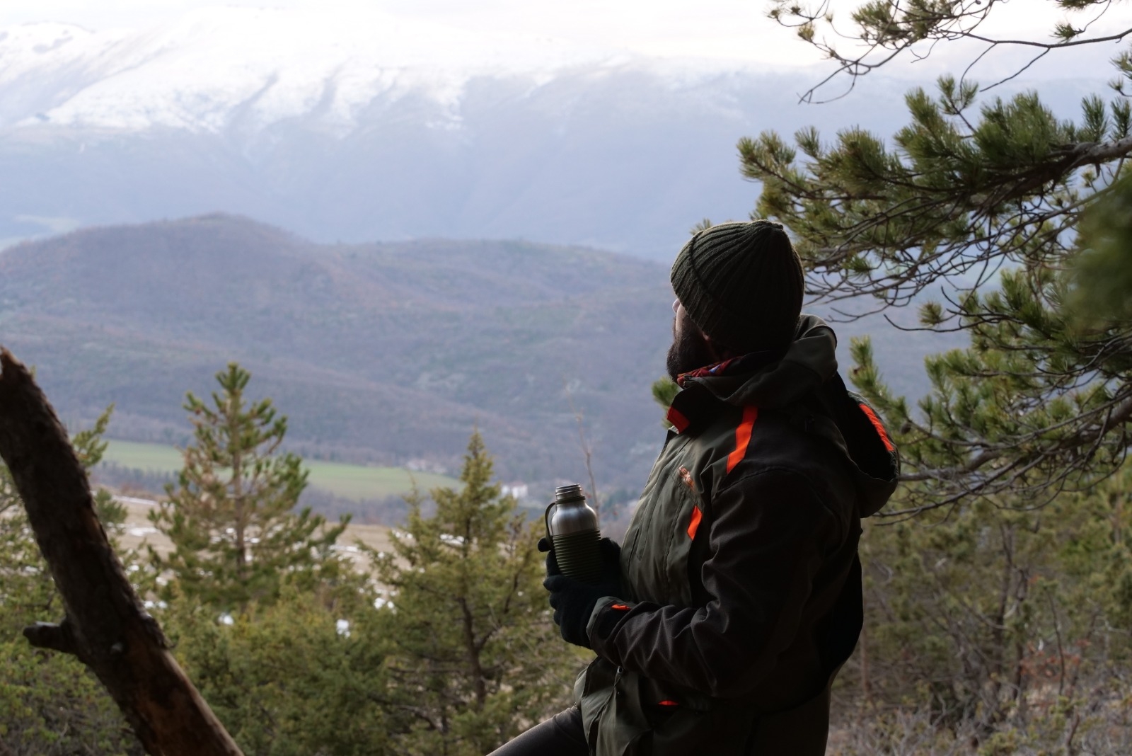 cultura-venatoria: Referendum contro la caccia: inizia il terzo tentativo con la raccolta firme. Una breve analisi delle proposte