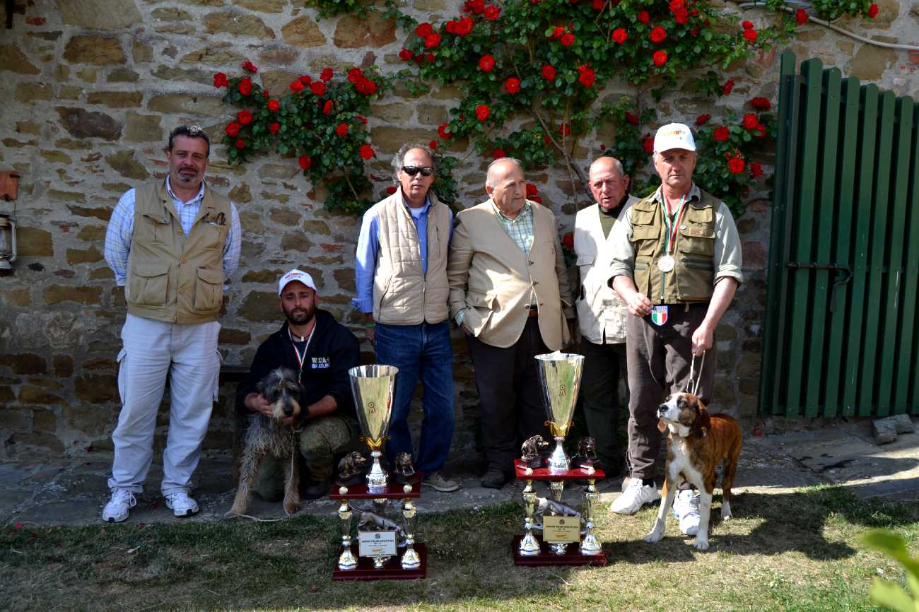 caccia: Segugi su cinghiale a singolo. Una grande specialità che mancava