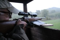 Caccia al capriolo d'inverno Caccia al capriolo d'inverno