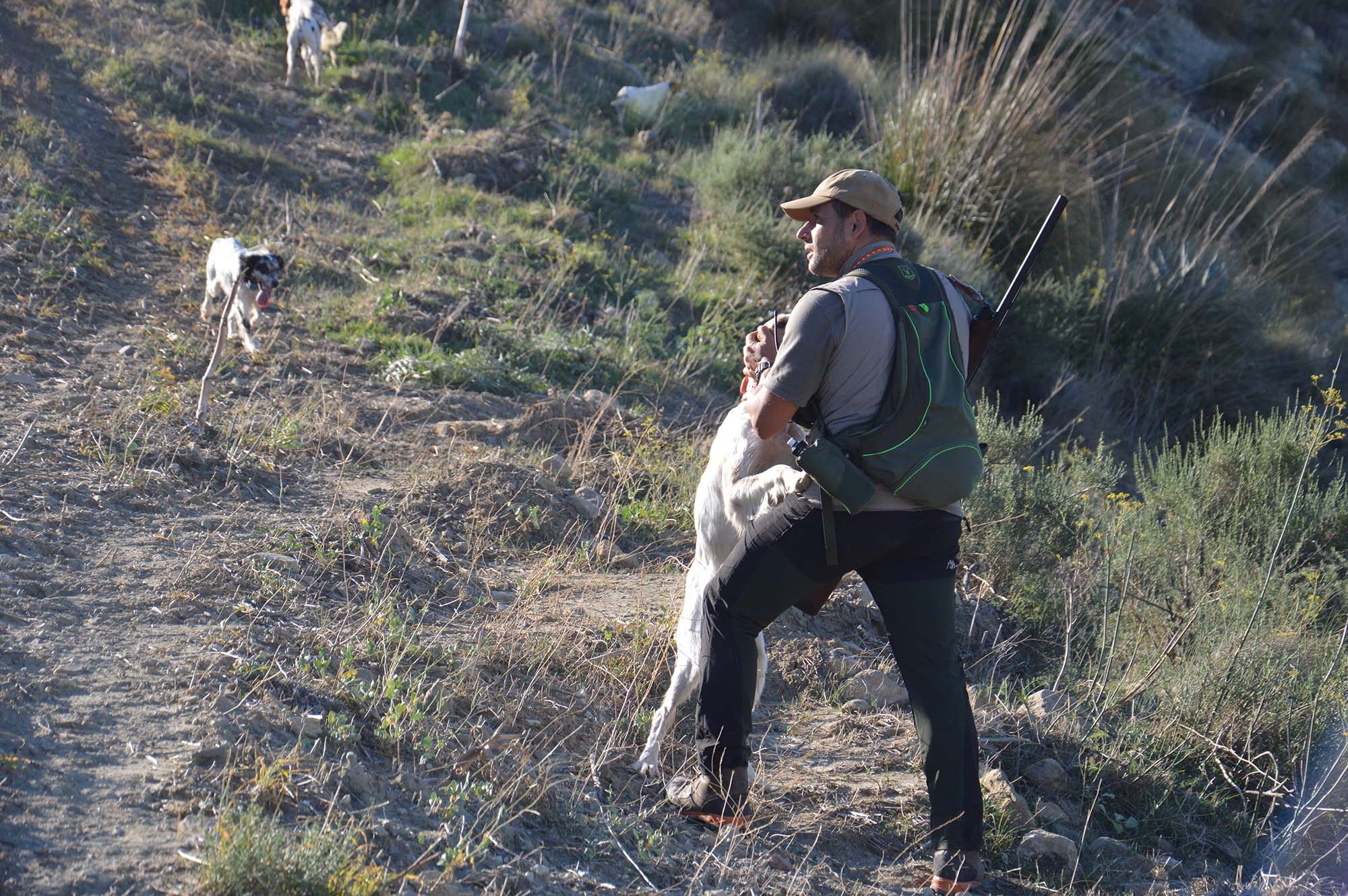 legislazione-venatoria: Il sistema venatorio siciliano, un fallimento per tutti