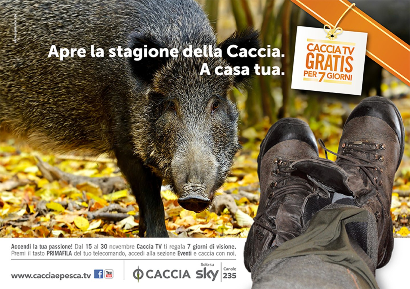 Sky Caccia 235 gratis per sette giorni Canale Sky Caccia 235 gratis per sette giorni
