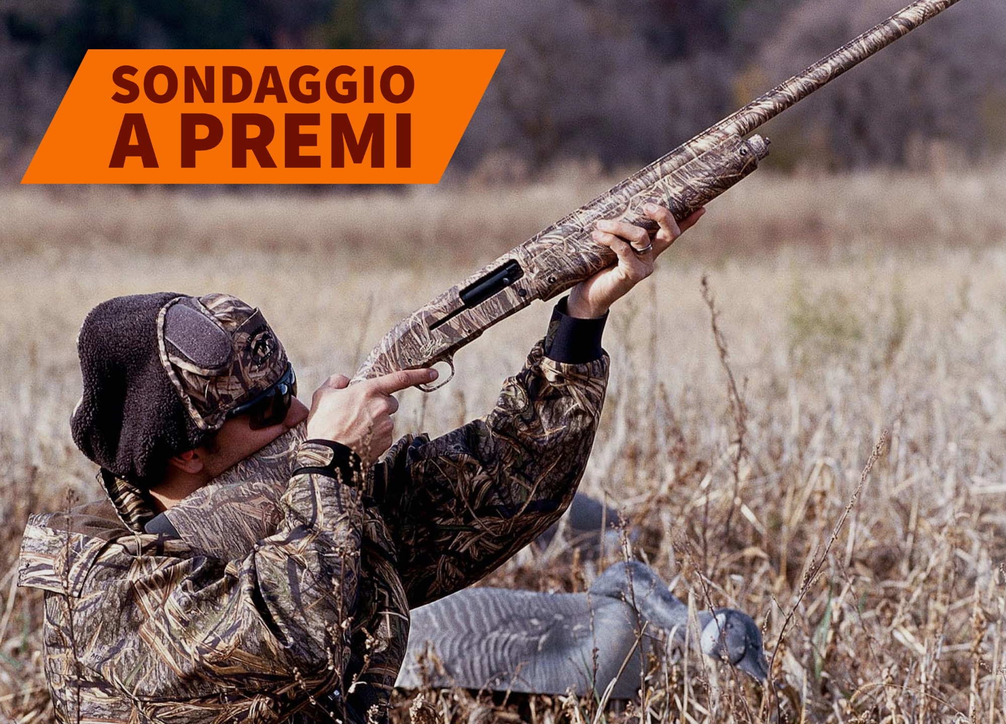 browning: Sondaggio Browning: qual è il fucile perfetto per la caccia minuta? La parola a voi lettori! browning: Sondaggio Browning: qual è il fucile perfetto per la caccia minuta? La parola a voi lettori!