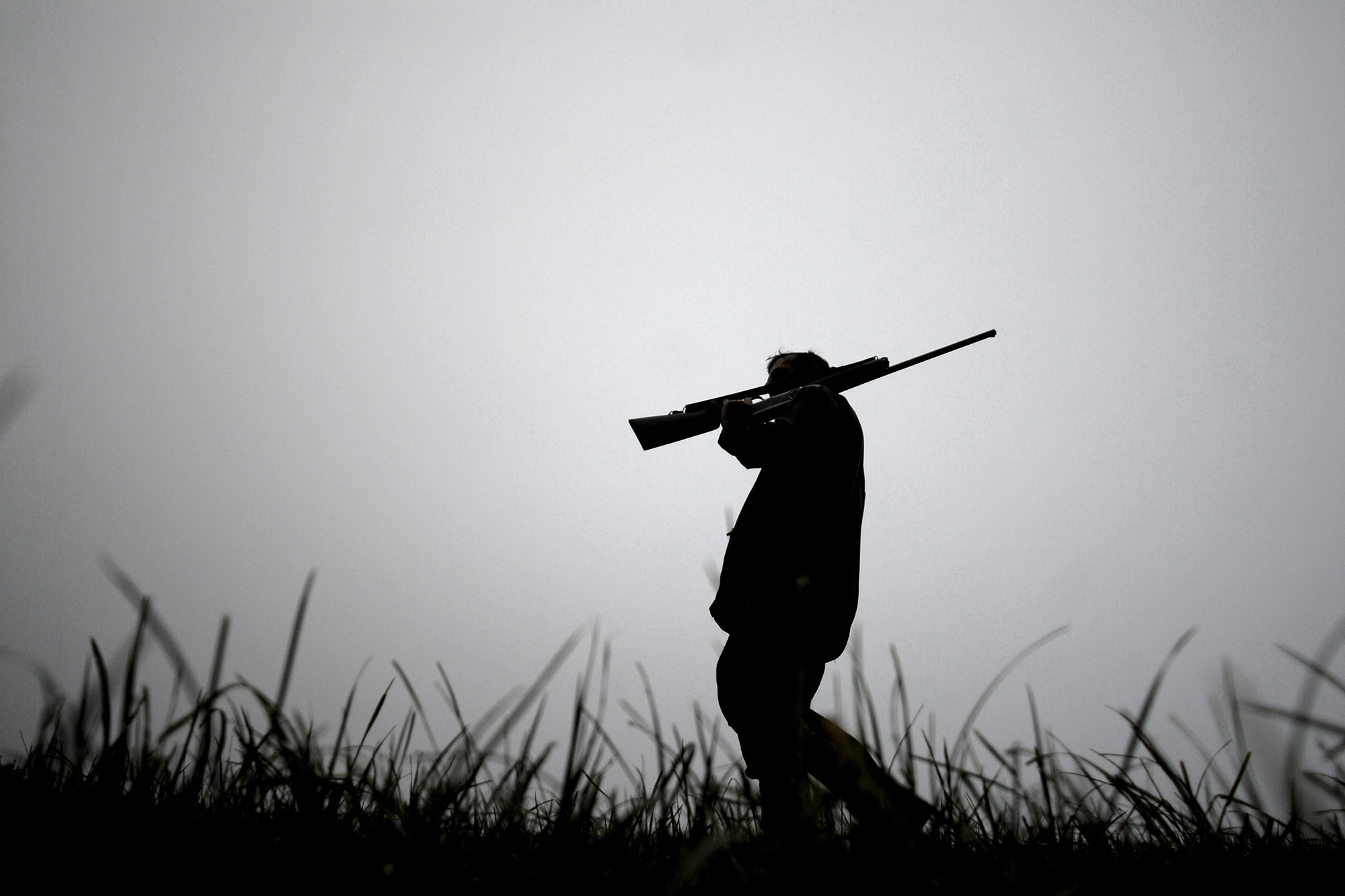 associazione-nazionale-libera-caccia: Il TAR Calabria rigetta la richiesta di sospensiva del calendario venatorio