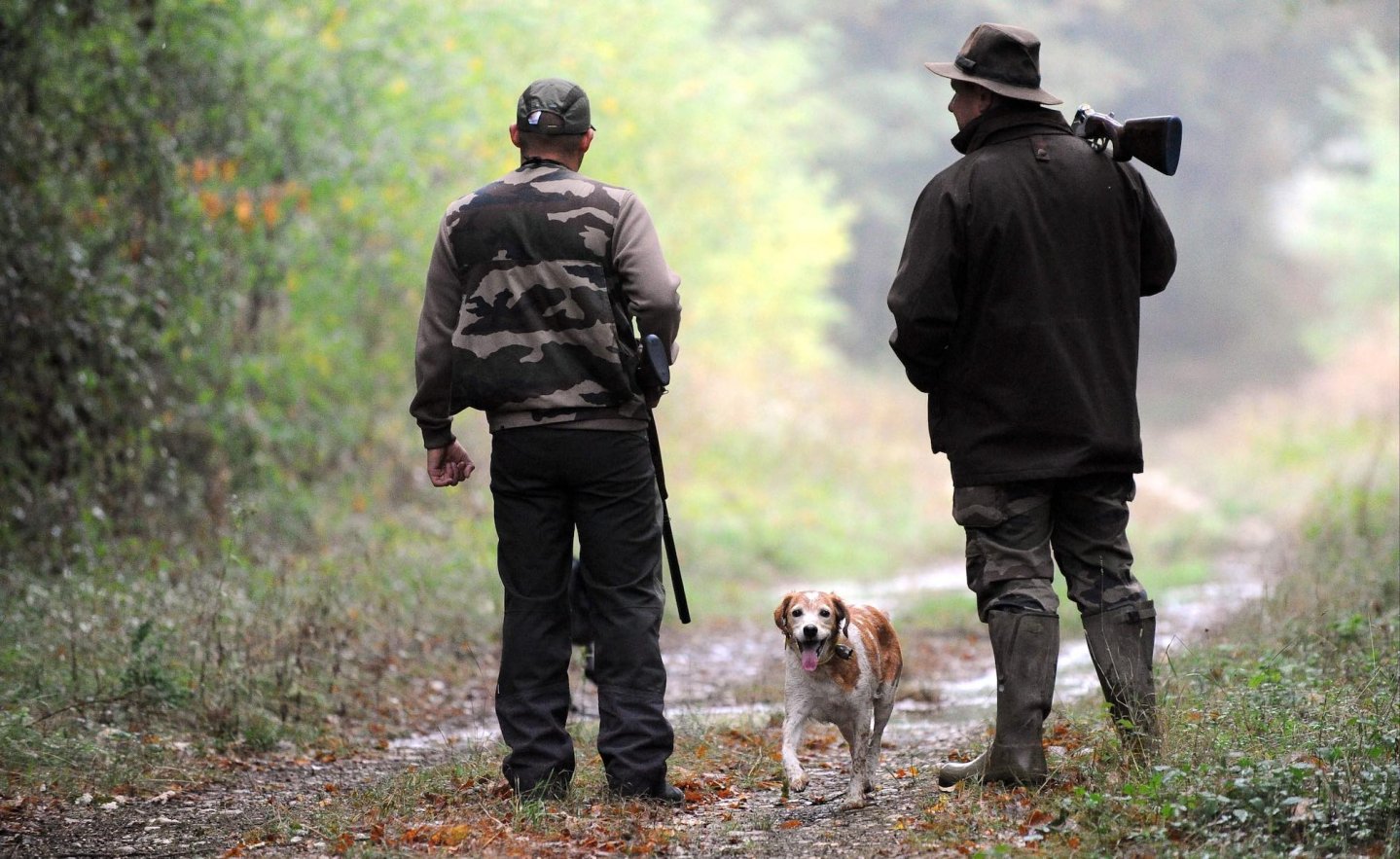 Tar Lazio: visite porto d'armi Tar Lazio: visite porto d'armi