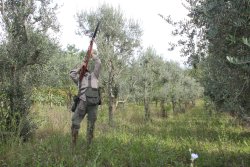 Caccia ai tordi allo schizzo Caccia ai tordi allo schizzo