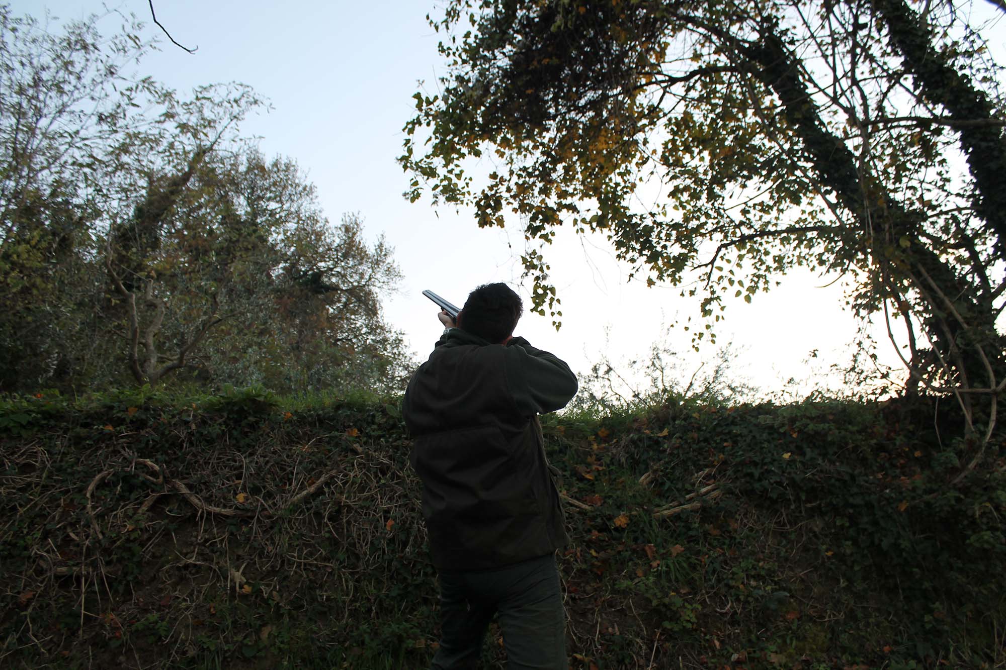 caccia-ai-tordi: Caccia ai tordi d'inverno caccia-ai-tordi: Caccia ai tordi d'inverno