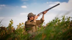 Caccia migratoria estiva Caccia migratoria estiva