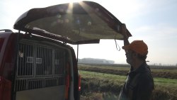 Trivellato Auto: mezzi su cui far viaggiare le proprie passioni Luca Trivellato ci presenta la Mercedes Benz Vito