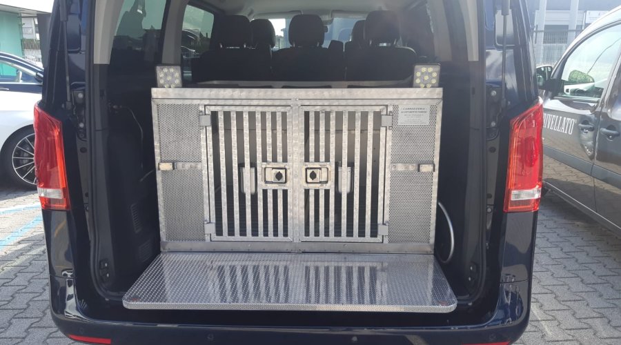 Mercedes Benz Vito trasportino cani