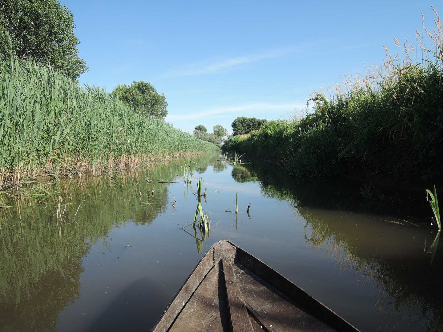 Primavera in padule con i cacciatori Barca nel Padule
