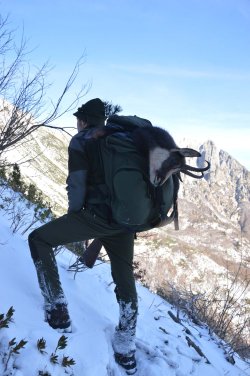 Il corretto trattamento della spoglia Cacciatore sulle montagne