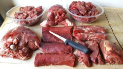 Il corretto trattamento della spoglia Carne di selvaggina