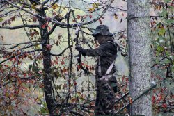 Valle di Fiordimonte: caccia, natura e cinofilia tutto l'anno Caccia con arco