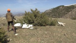 Valle di Fiordimonte: caccia, natura e cinofilia tutto l'anno Cacciatore con cane