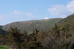 Valle di Fiordimonte: caccia, natura e cinofilia tutto l'anno Valle di Fiordimonte