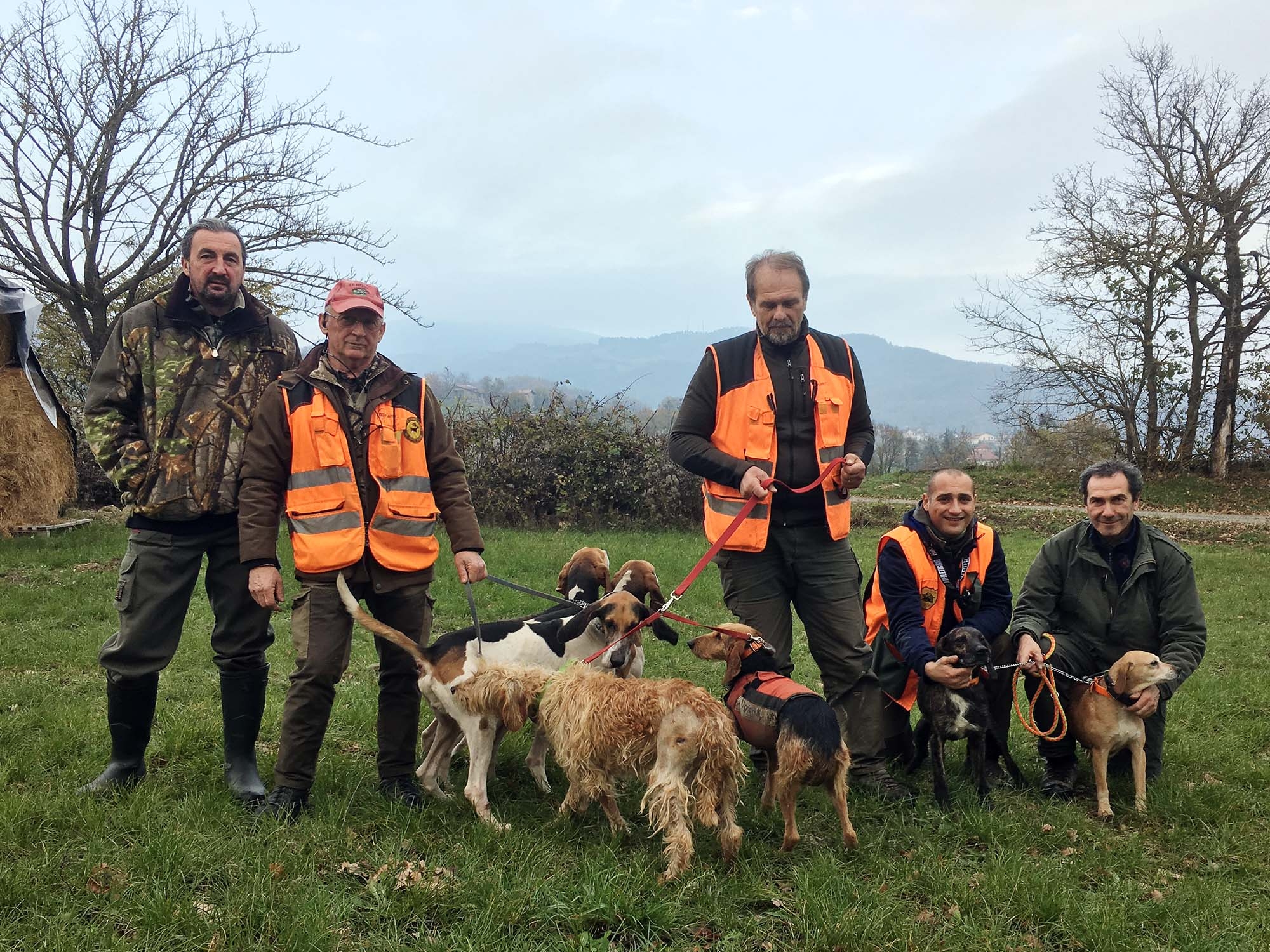 veterinaria: Veterinaria: brevi cenni sulle diverse patologie che possono affliggere il cinghiale (Sus scrofa)