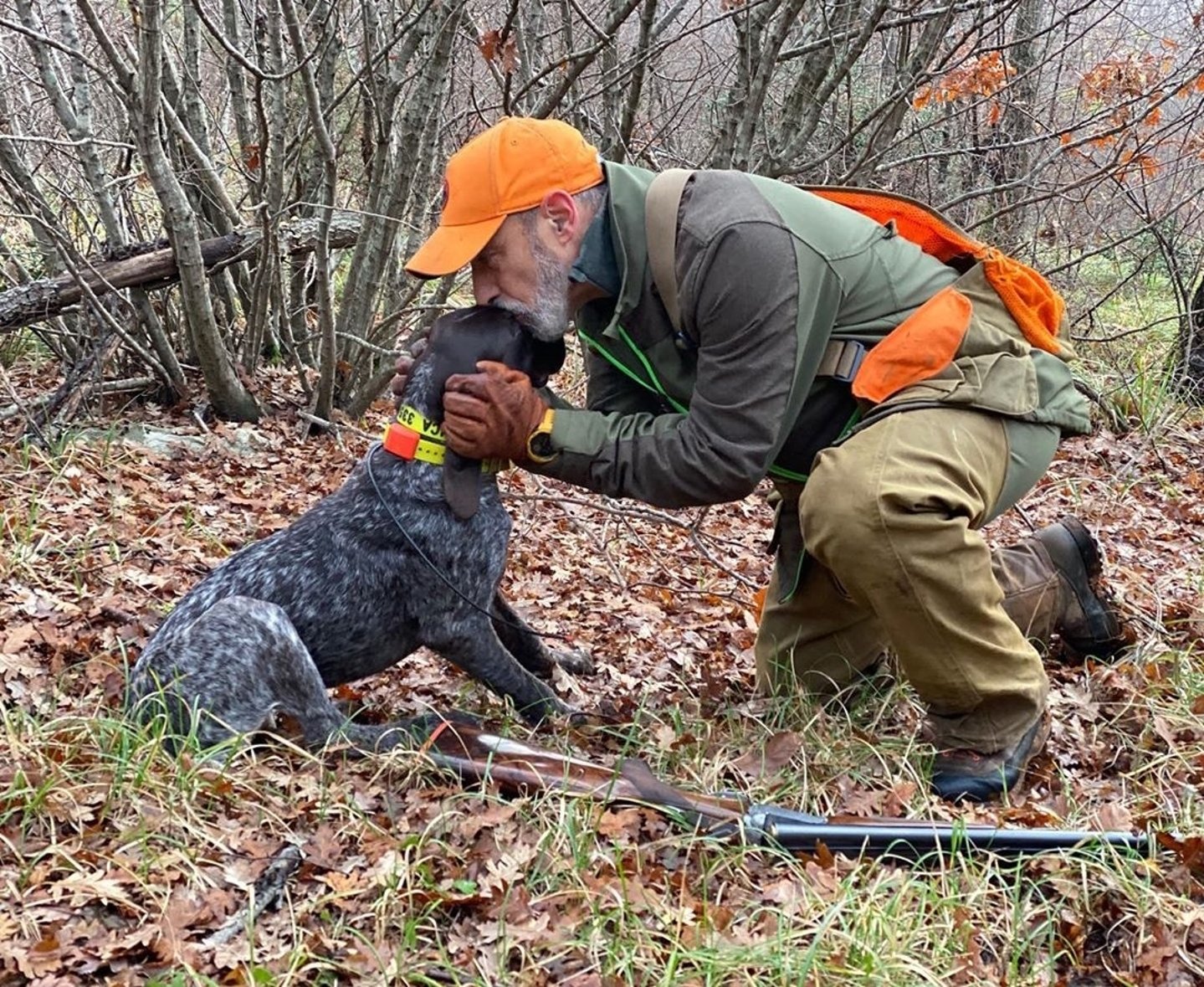 Come si viaggia con i cani. Tutti i consigli utili prima della partenza Cacciatore con cane