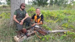 Come si viaggia con i cani. Tutti i consigli utili prima della partenza Cacciatori