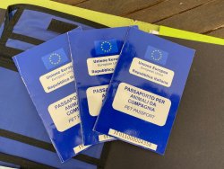 Come si viaggia con i cani. Tutti i consigli utili prima della partenza Documenti per viaggiare a caccia con i cani