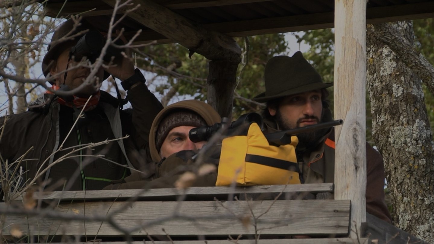 Caccia al capriolo in Valle di Fiordimonte Cacciatori sull'altana per la selezione al capriolo