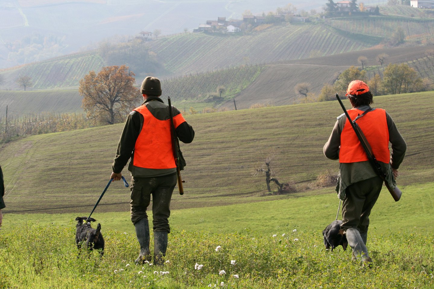 Caccia al cinghiale in braccata cacciatori si apprestano ad iniziare una battuta di caccia al cinghiale