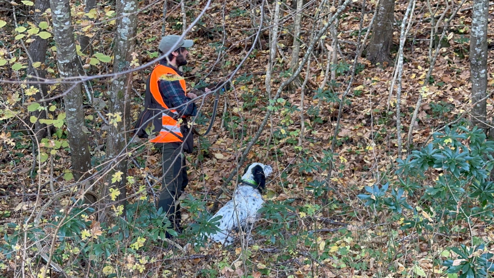 storie-di-caccia: Caccia, cinofilia e territorio: fagiani, pernici e beccacce a Monte Sporno