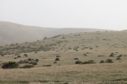 Vinci all4hunters: caccia alle starne in Valle di Fiordimonte Paesaggio di Valle di Fiordimonte