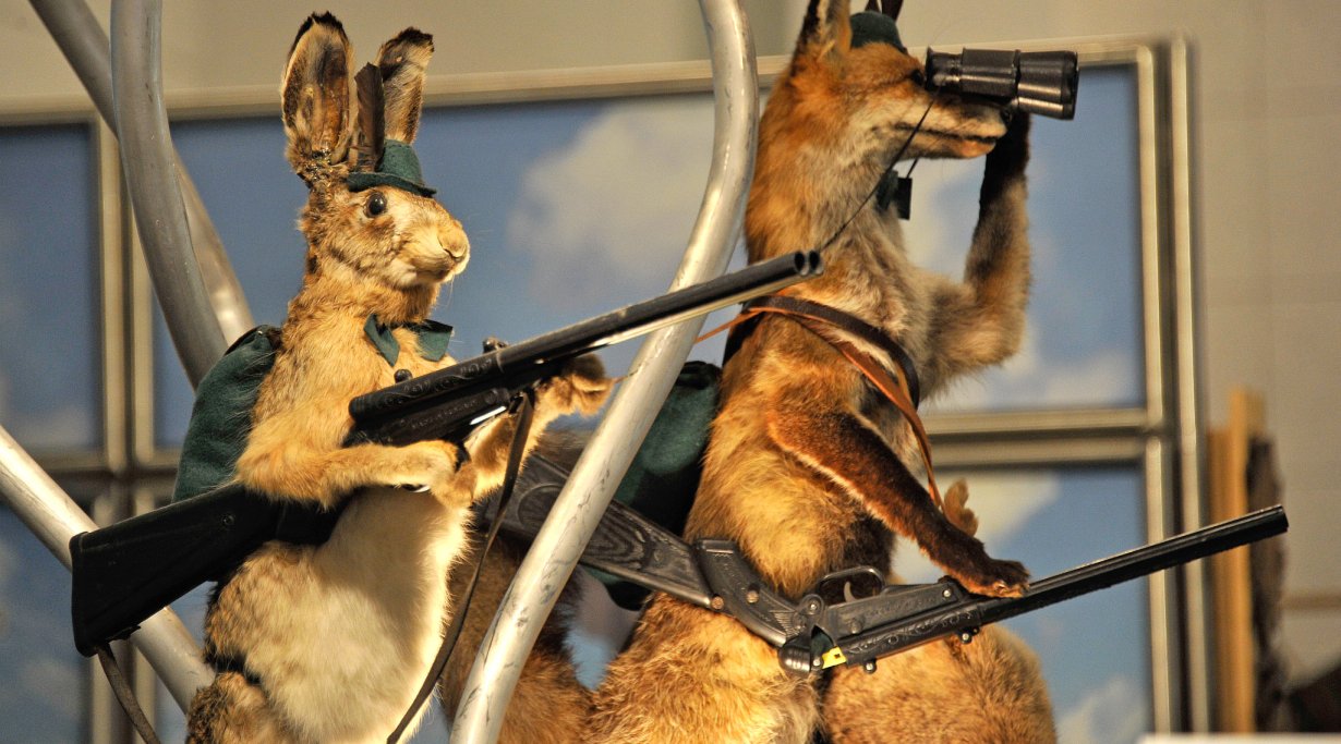 Hunting Show Vicenza 2014