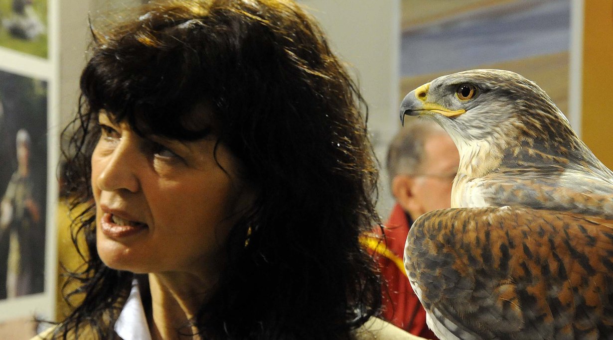 Hunting Show Vicenza 2014