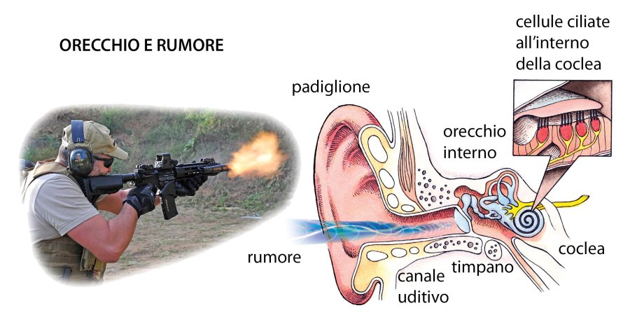 Basi di protezione dell’udito Basi di protezione dell’udito