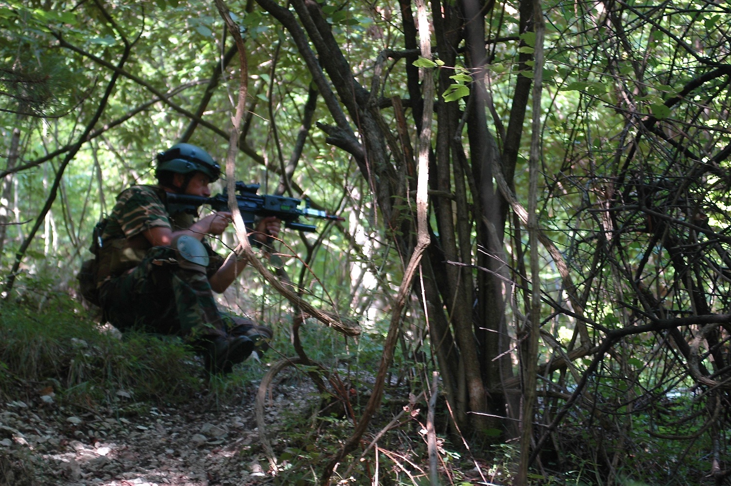 softair: LACS G1 e C4-T