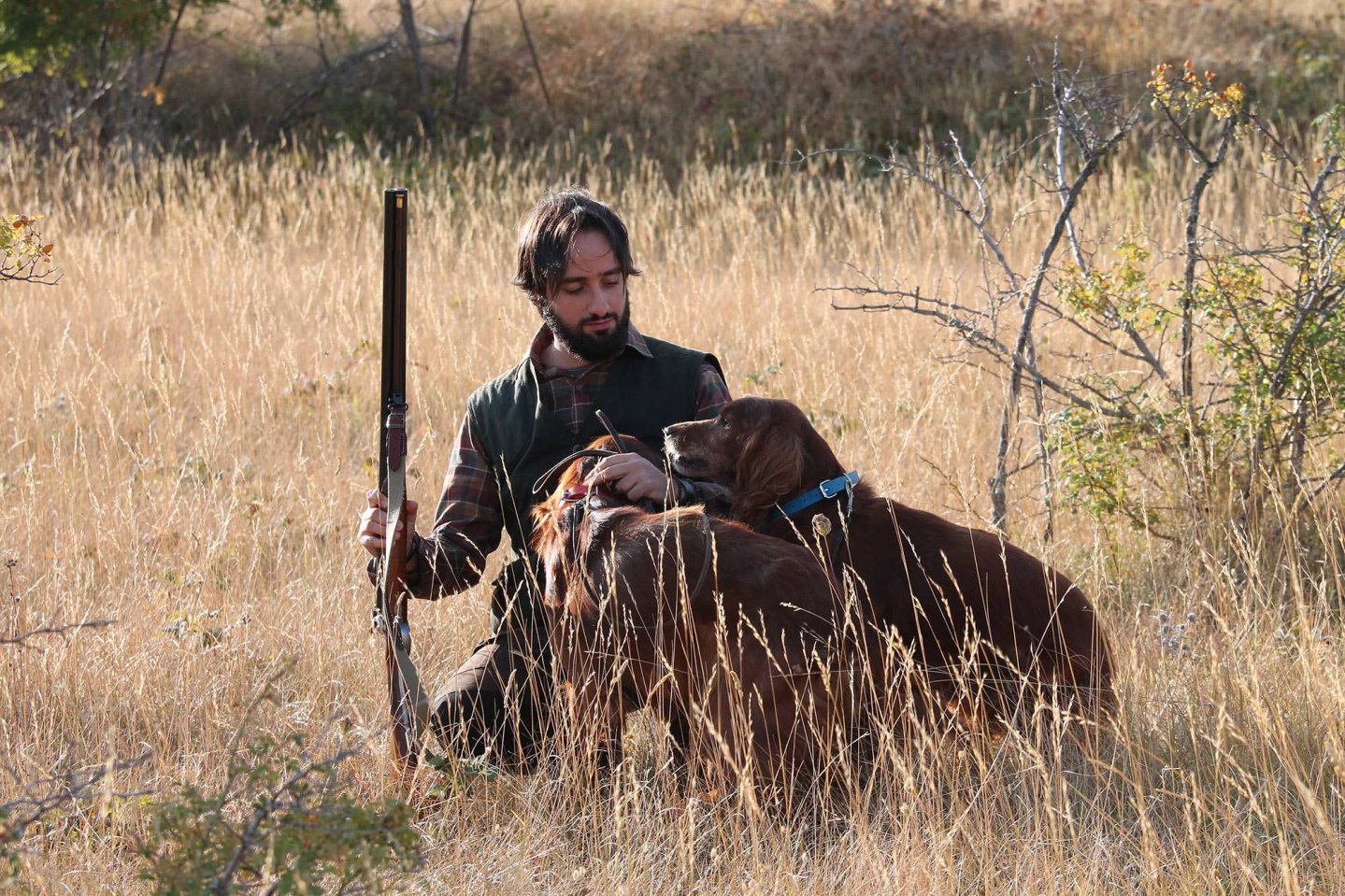 Caccia ad avancarica con i cani da ferma Cacciatore con cani e fucile