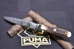 Puma Jubilee coltello Puma-jubilee-02.JPG