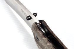 SOG Kiku SOG Kiku
