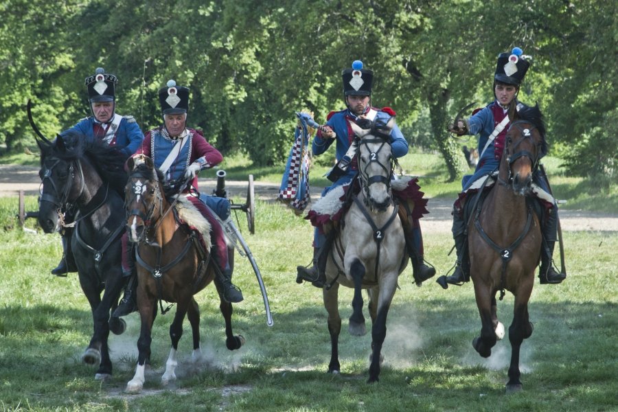 Rievocazione storica Napoleonici Rievocazione storica Napoleonici