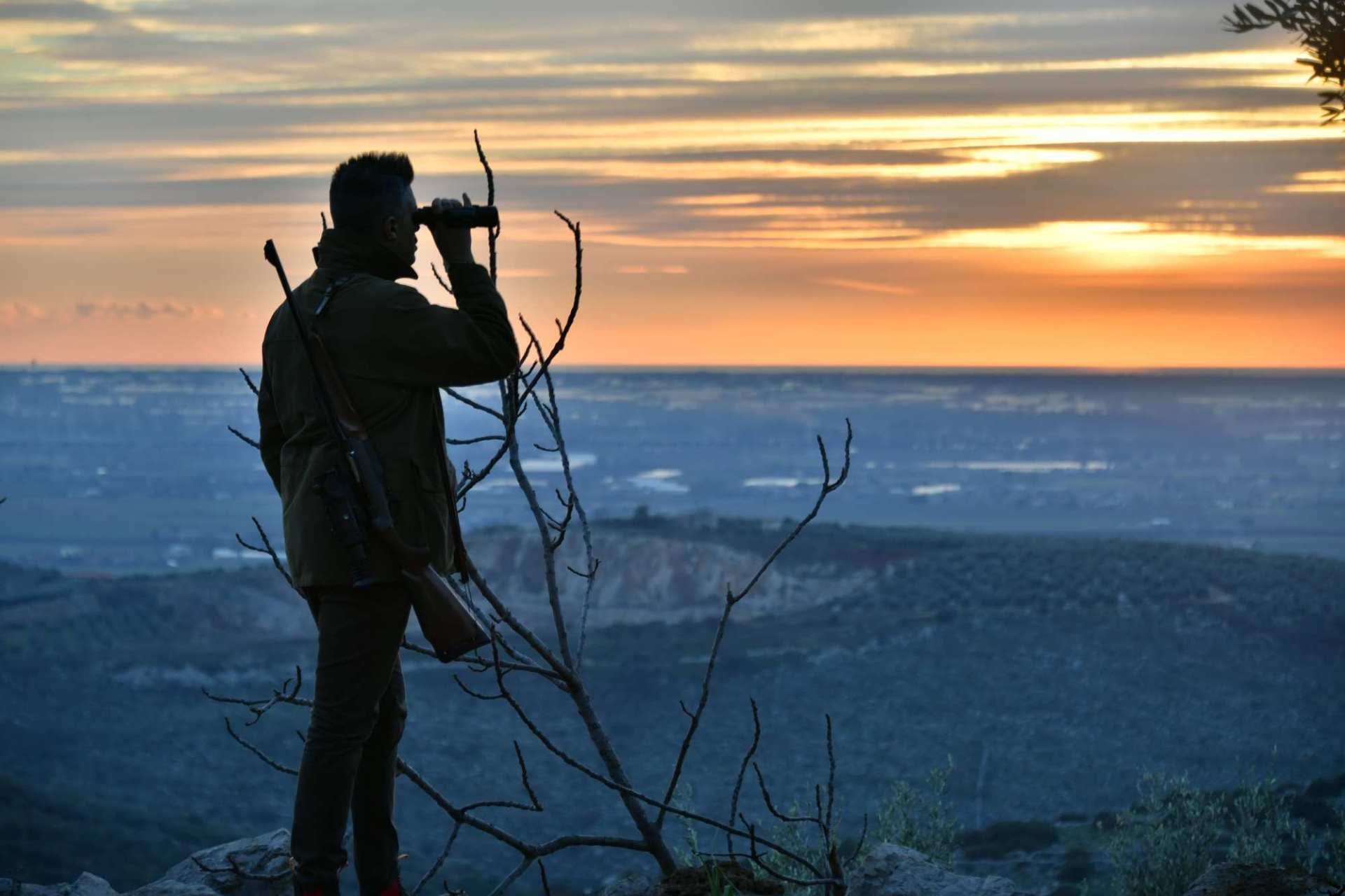 cultura: Un grande augurio di buon Natale e buone feste!
