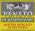 Veneto in Grigioverde e