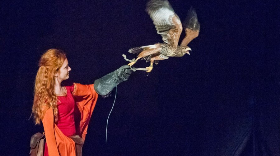 Palio di San Donato 2025 Palio di San Donato 2025